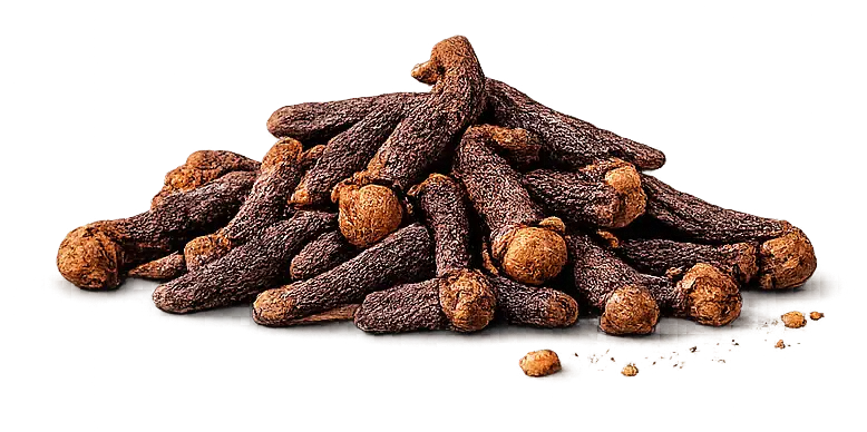 Traditional mutton masala powder